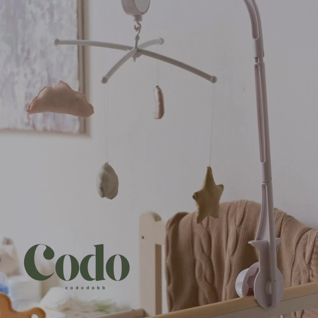 Vidéo